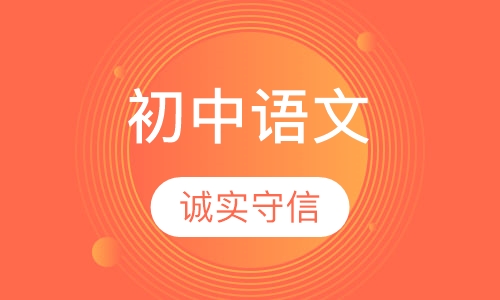 初中语文一对一课程辅导