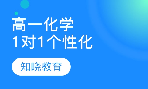 高中一年级化学 1对1个性化辅导