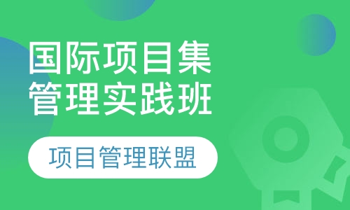 国际项目集管理实践与实战应用