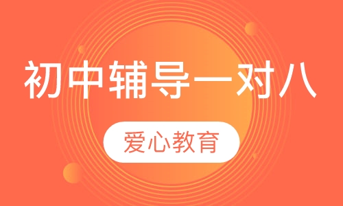 初中辅导一对八