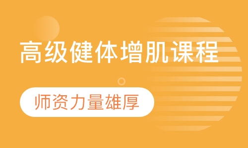 高级健体增肌课程