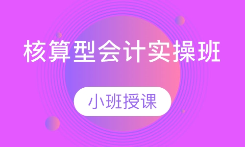 核算型会计实操班