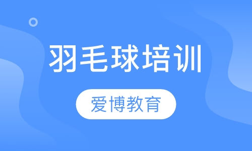 羽毛球培训