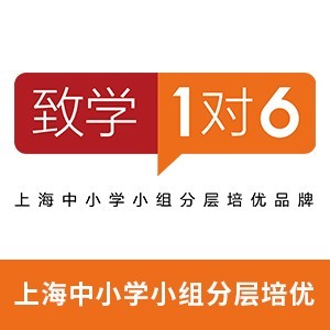 上海致学教育