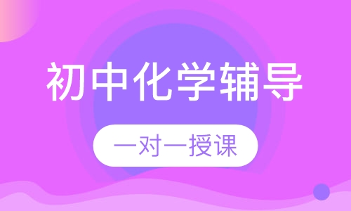 初中一对一化学辅导
