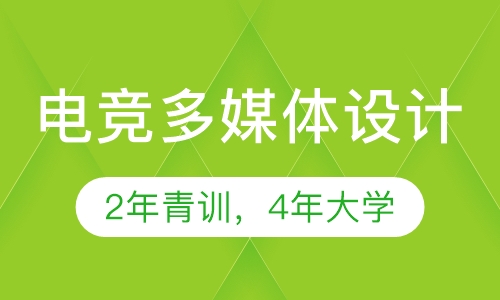 电竞多媒体设计（本科学历）