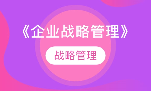 《企业战略管理》