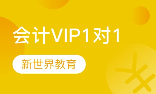 会计VIP1对1课程