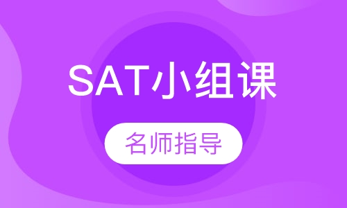 SAT赢 系列1v6小组课