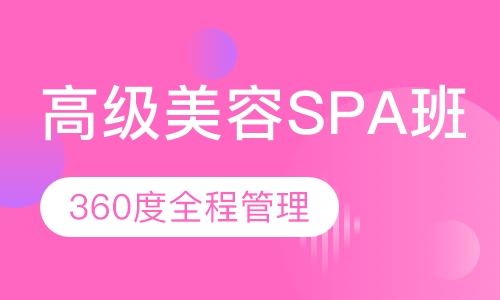 高级SPA班