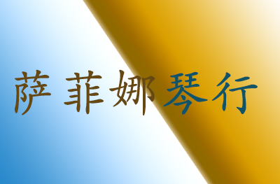济南萨菲娜琴行