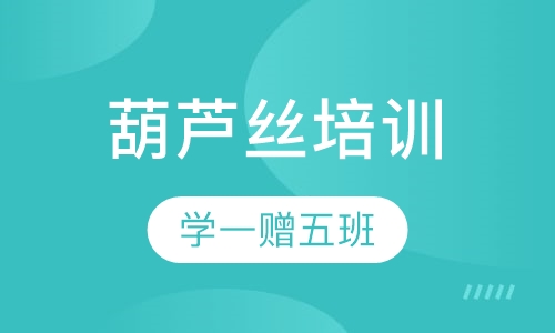 葫芦丝学一赠五.培训