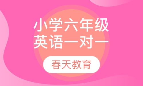 小学六年级英语一对一辅导课程