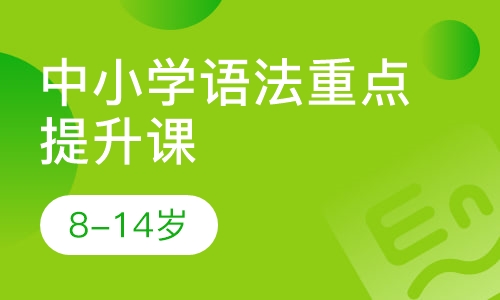 中小学语法重点提升课