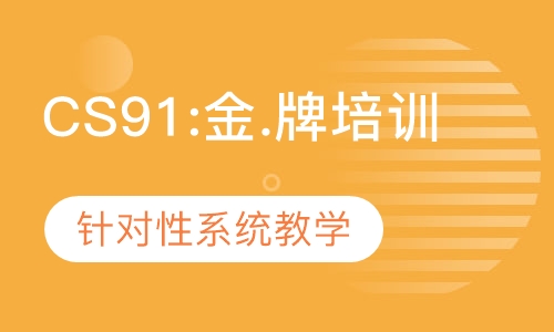 CS91: USACO金.牌等级培训