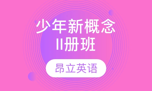 少年新概念II册班