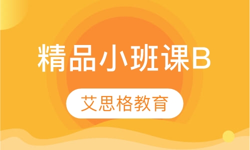 精品小班课B