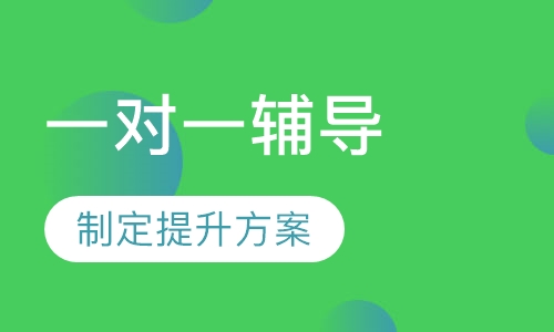 个性化一对一辅导