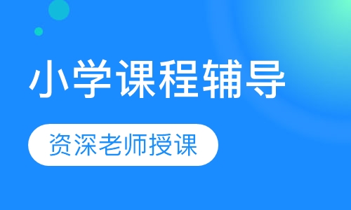 小学课程辅导