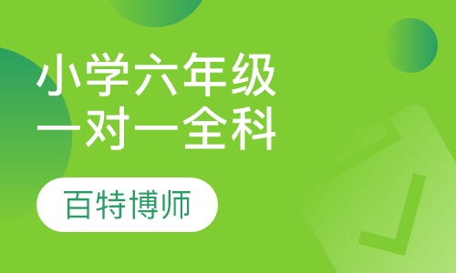 小学六年级一对一全科辅导