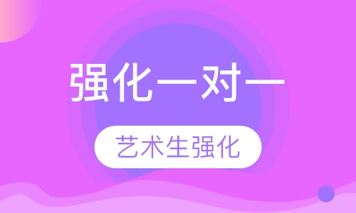 艺术生强化一对一
