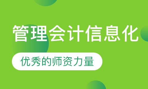 管理会计信息化