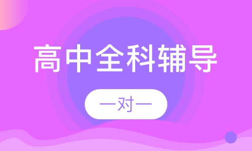 高中一对一全科辅导