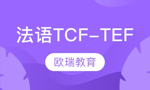 法语TCF-TEF班