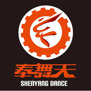沈阳奉舞天舞蹈培训