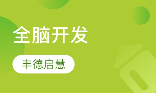 全脑开发