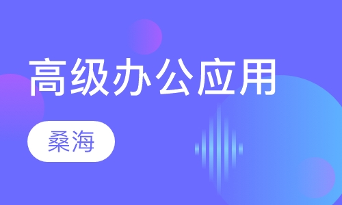 高级办公应用（高起专）