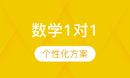 初中数学1对1