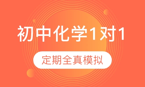 初中化学精准1对1