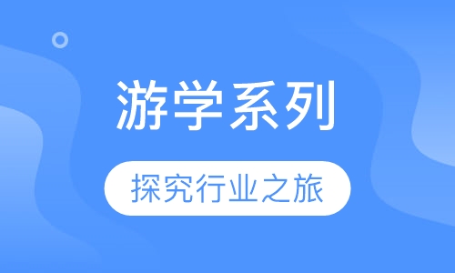 游学系列探究行业之旅