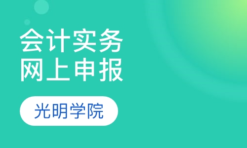 会计实务与网上申报