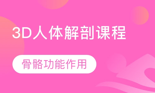 3D人体解剖私人健身教练培训课程