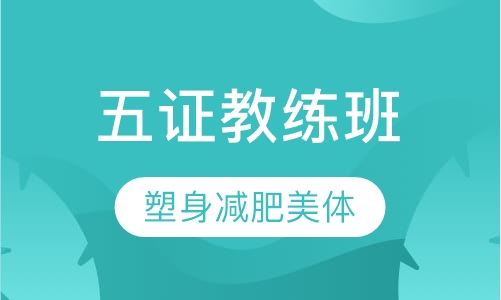 VIP全能职业明星舞蹈教练班——钢管舞、爵士舞、肚皮舞、领舞、成品舞五证教练班