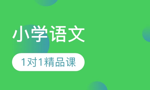 小学语文1对1VIP