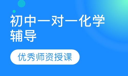 初中一对一化学辅导