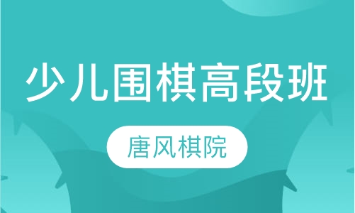 少儿围棋高段班