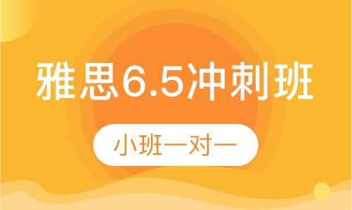 环美雅思6.5冲刺暑期班