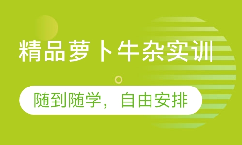 精品萝卜牛杂实训