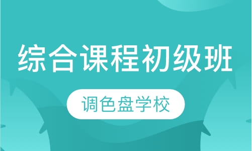 综合课程初级班