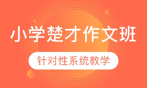 小学楚才作文班