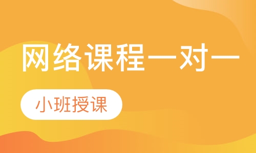 网络课程一对一