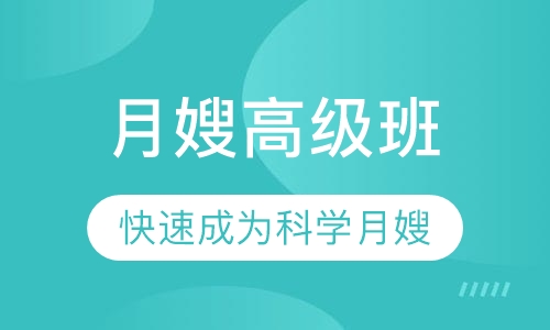录播课+直播课月嫂高级班