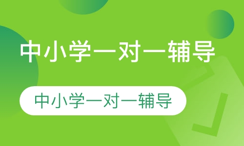 中小学一对一辅导