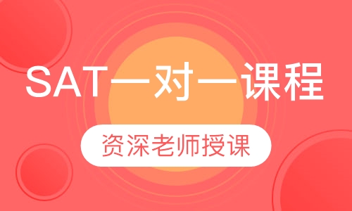 SAT一对一课程
