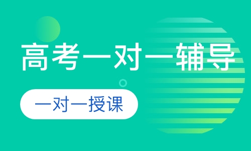 高考一对一辅导