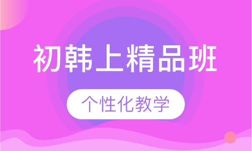 初韩上精品班